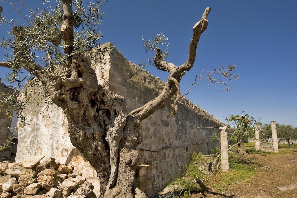 Masseria Spina Resort Монополі Номер фото